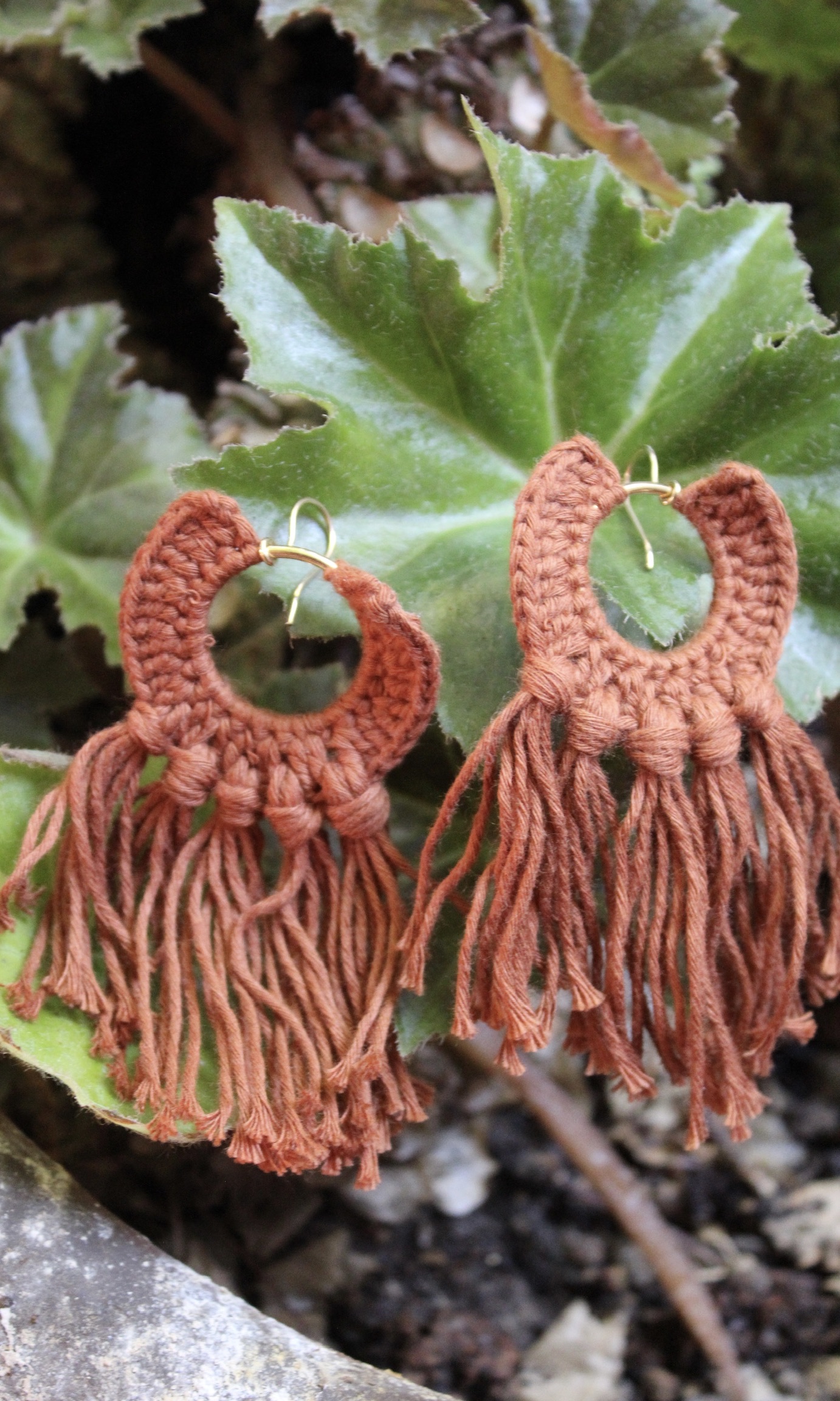 ARETES GERMINADO - Image 2