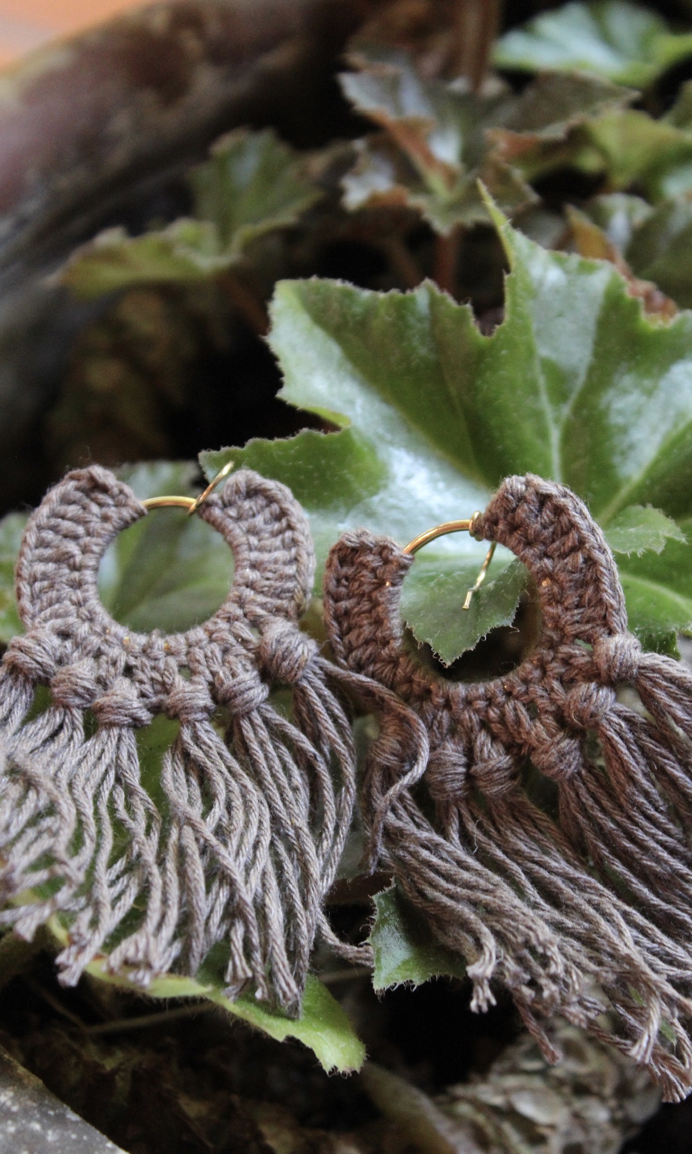 ARETES GERMINADO - Image 3