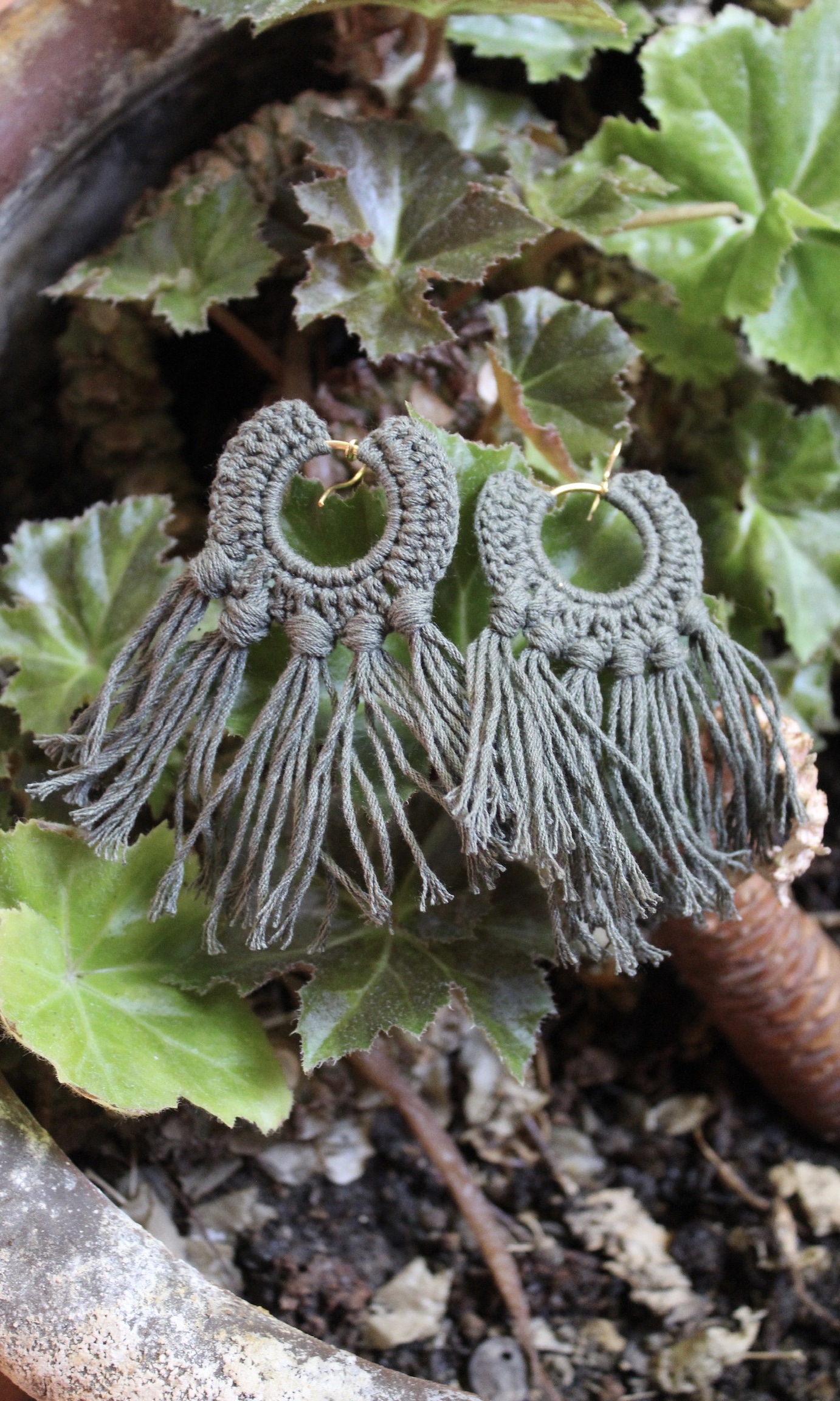 ARETES GERMINADO - Image 4