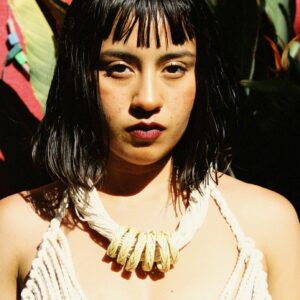 COLLAR NIDO